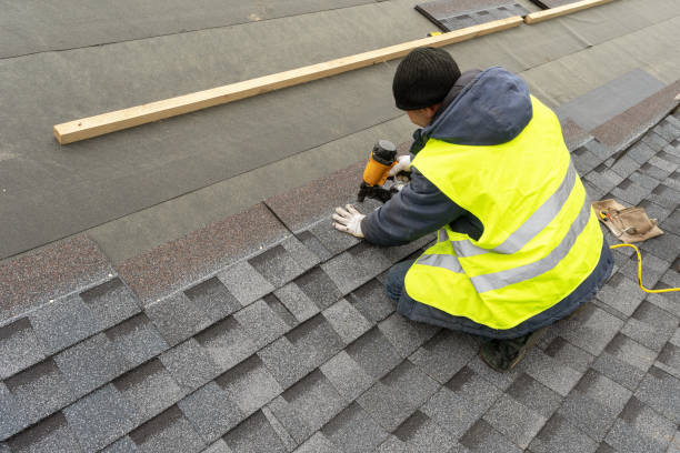 Best Roof Gutter Cleaning  in Little Flock, AR