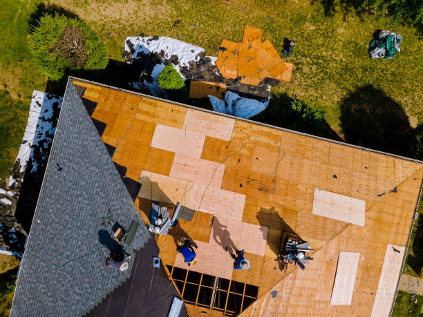 Best Roof Maintenance Services  in Little Flock, AR