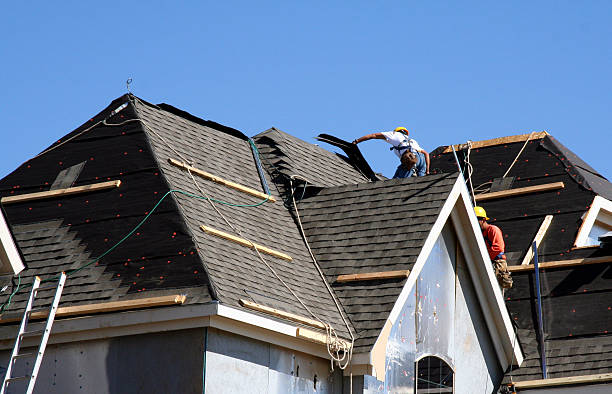 Best Storm Damage Roof Repair  in Little Flock, AR