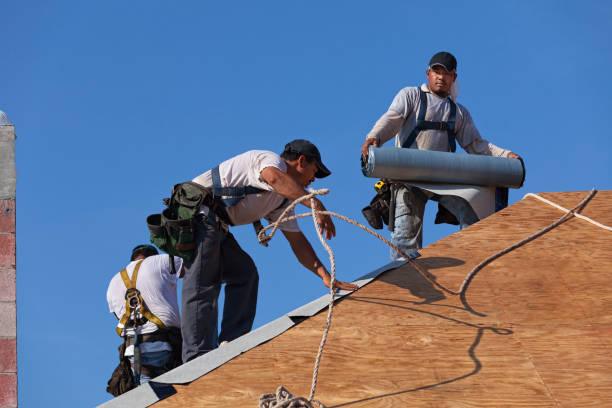 Best Best Roofing Contractors  in Little Flock, AR