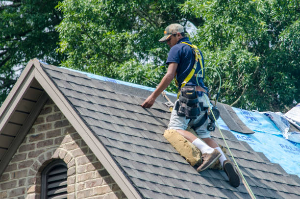 Best Roof Repair Services  in Little Flock, AR